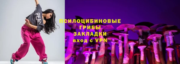 мдпв Надым