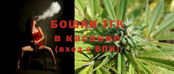 мдпв Надым