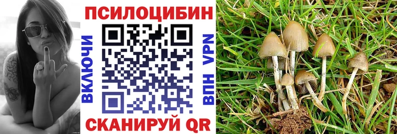 Галлюциногенные грибы мицелий  Чадан 