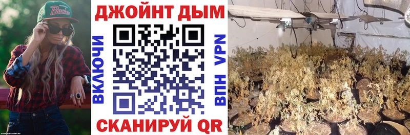 blacksprut ССЫЛКА  Чадан  МАРИХУАНА планчик  цены  